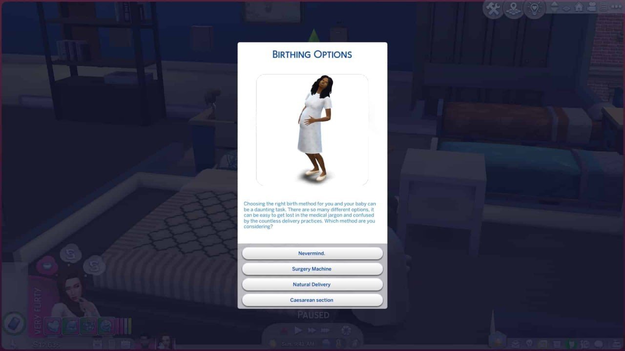Image: simscommunity.info