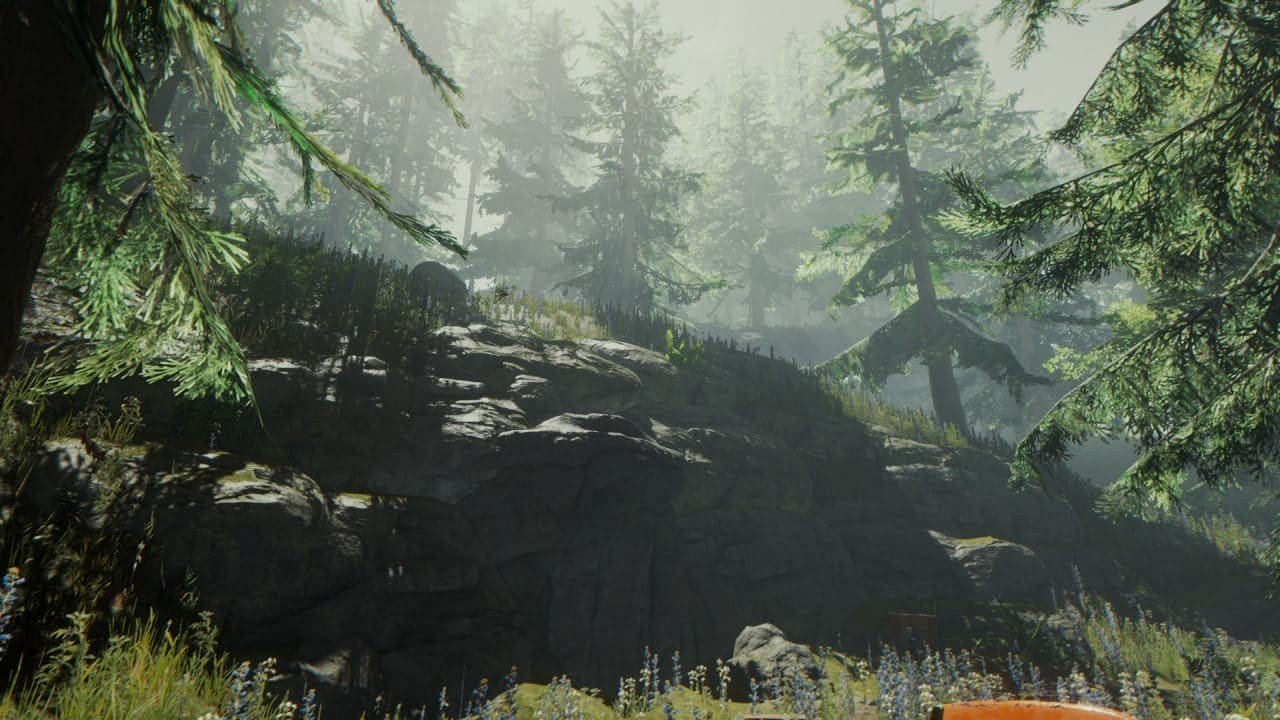 Image: Steam