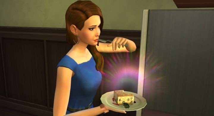 Image: carls-sims-4-guide.com