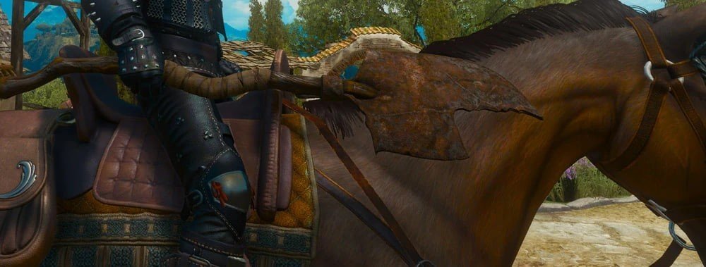 Image: witcher.fandom.com