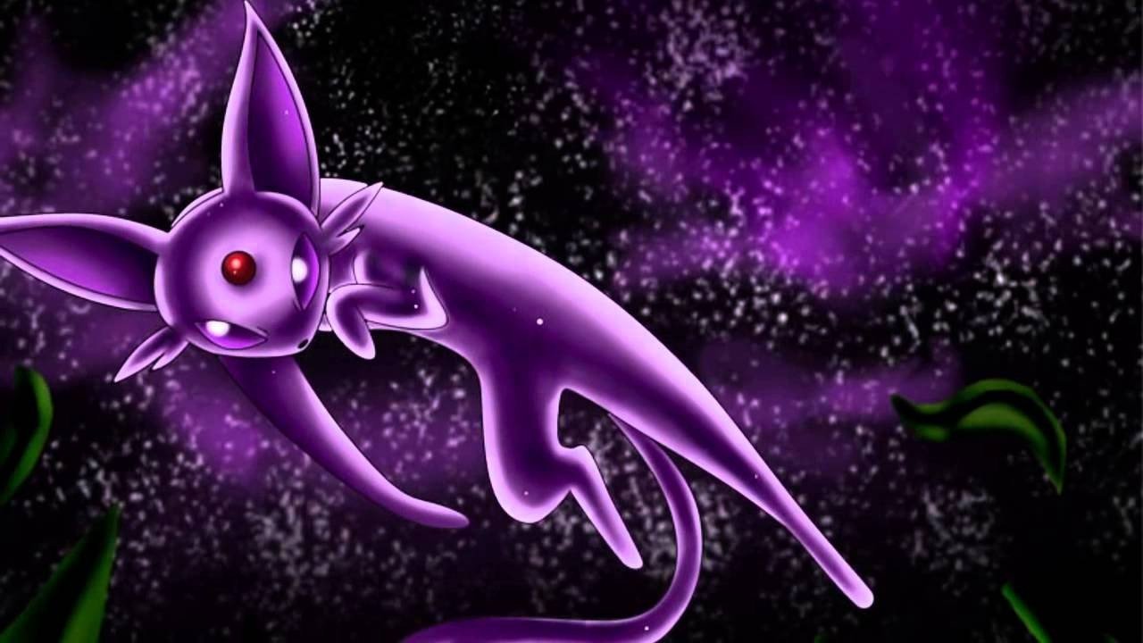 Image: youtube.com/@karatekittentv