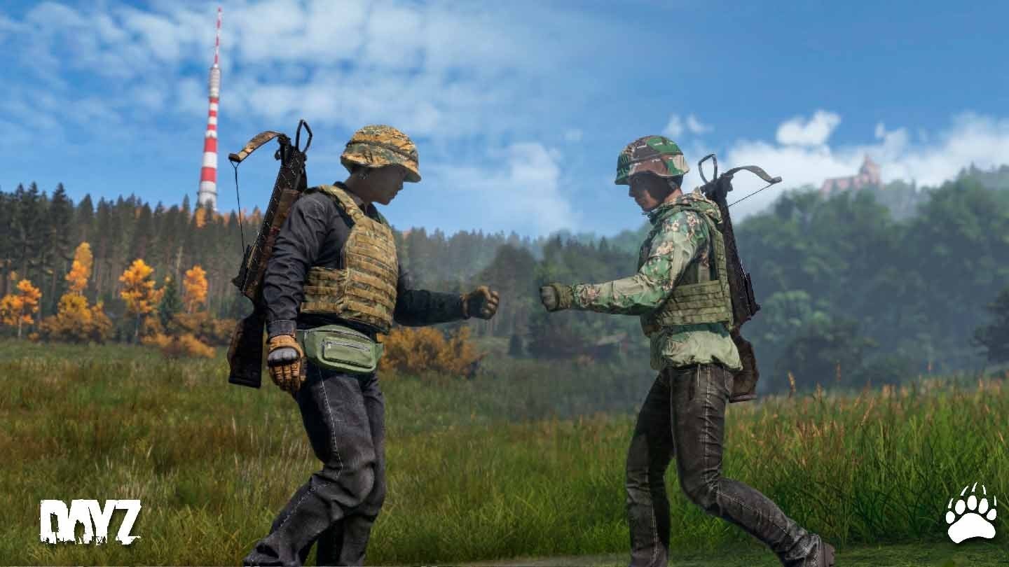 Imagem: dayz.com