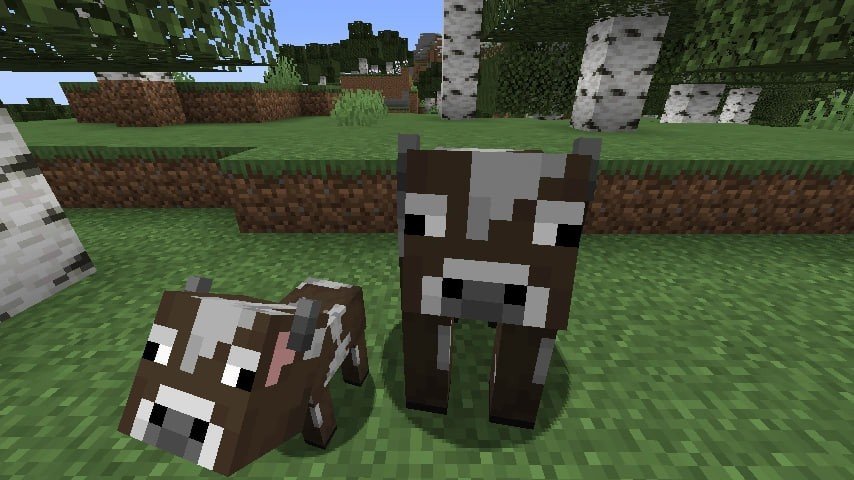 Image: minecraft.fandom.com