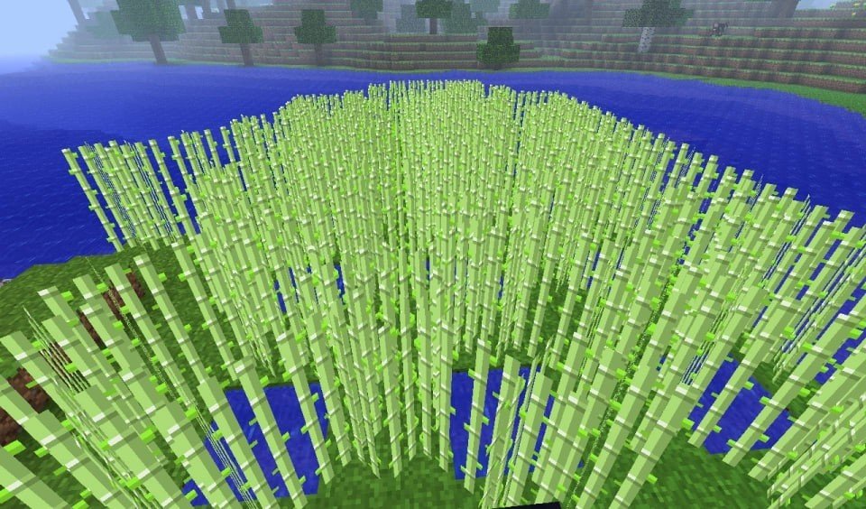 Image: minecraft.fandom.com