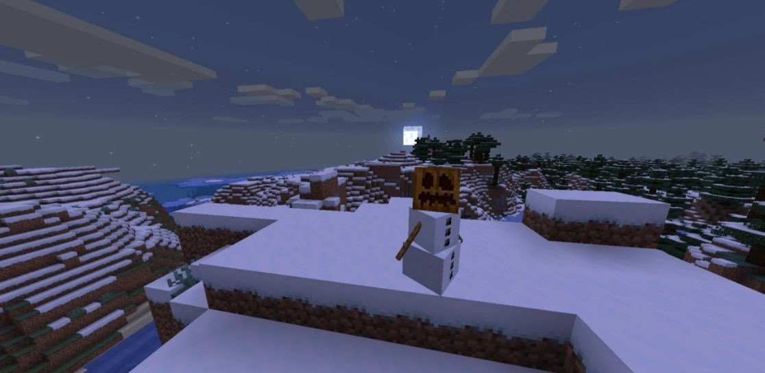 Image: minecraft.fandom.com
