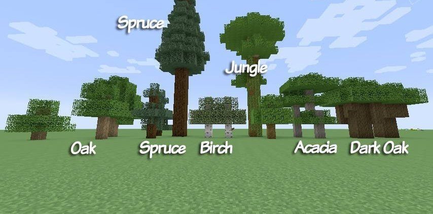 Image: minecraft101.net