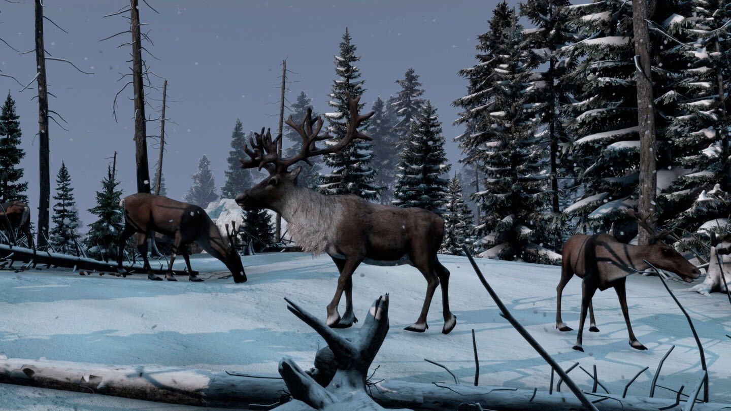 Imagem: Bohemia Interactive, Steam
