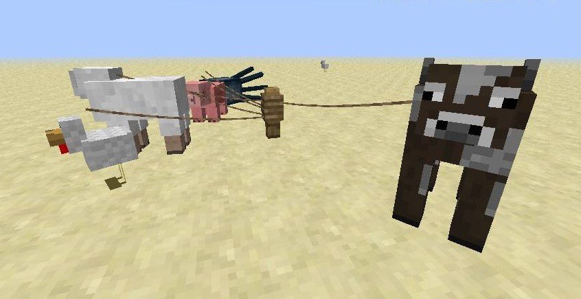 Image: minecraft101.net