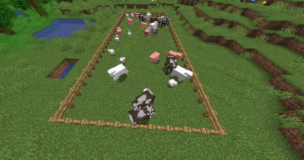 Image: minecraft.fandom.com