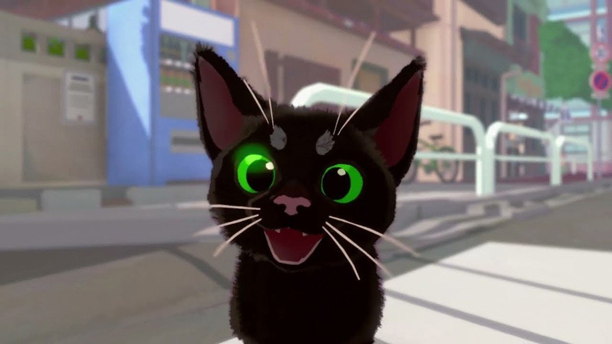 Image : littlekittybigcity.com