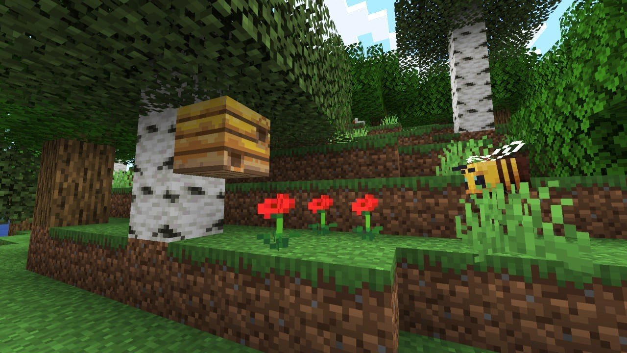 Imagem: Ensigame