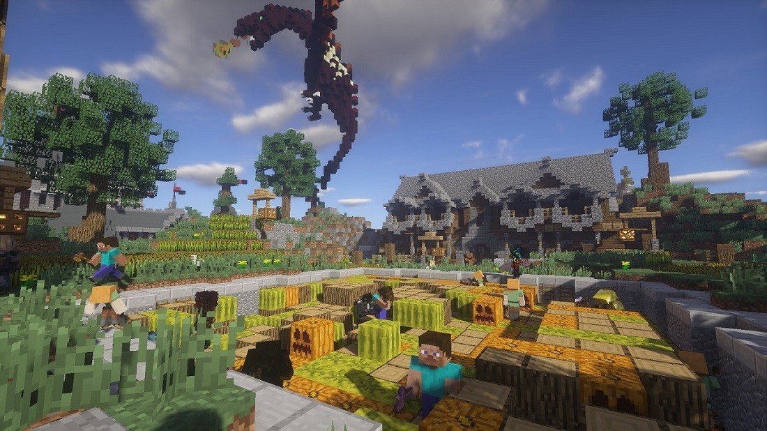 Image : servera-minecraft.net