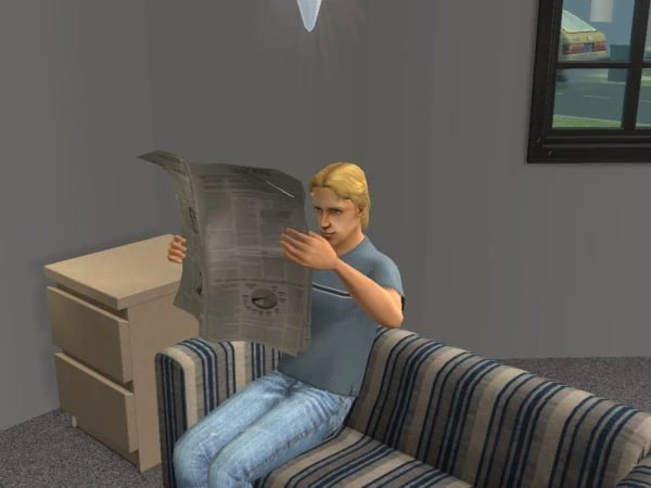 Image : sims.fandom.com