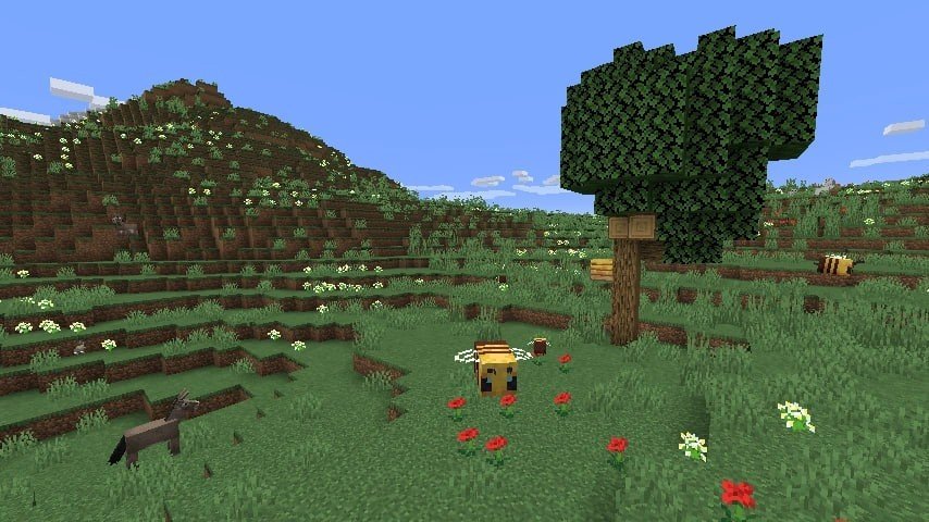 Image: minecraft.fandom.com