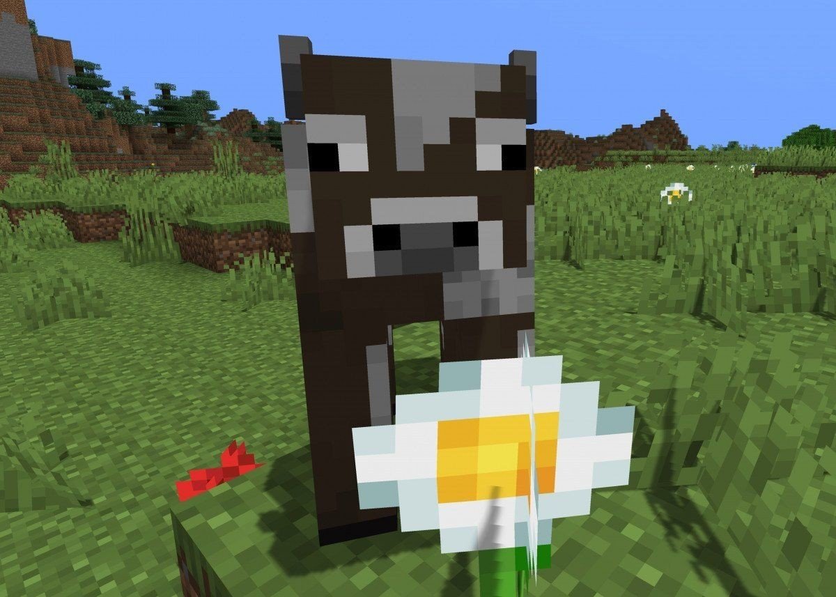 Imagem: uquiz.com
