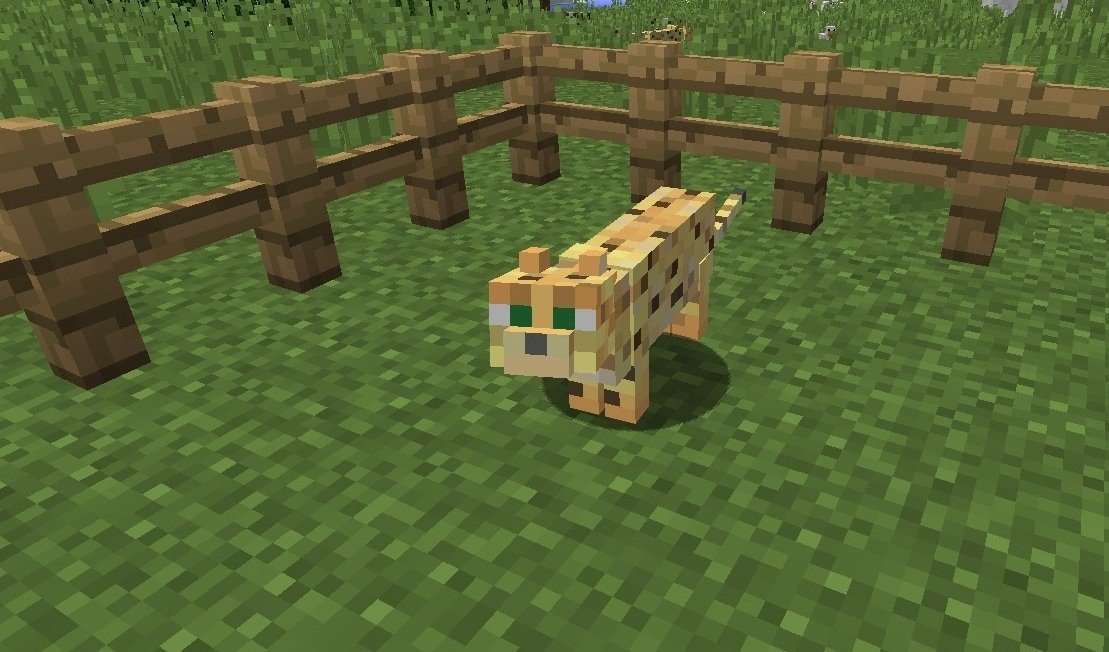 Imagem: minecraft.fandom.com