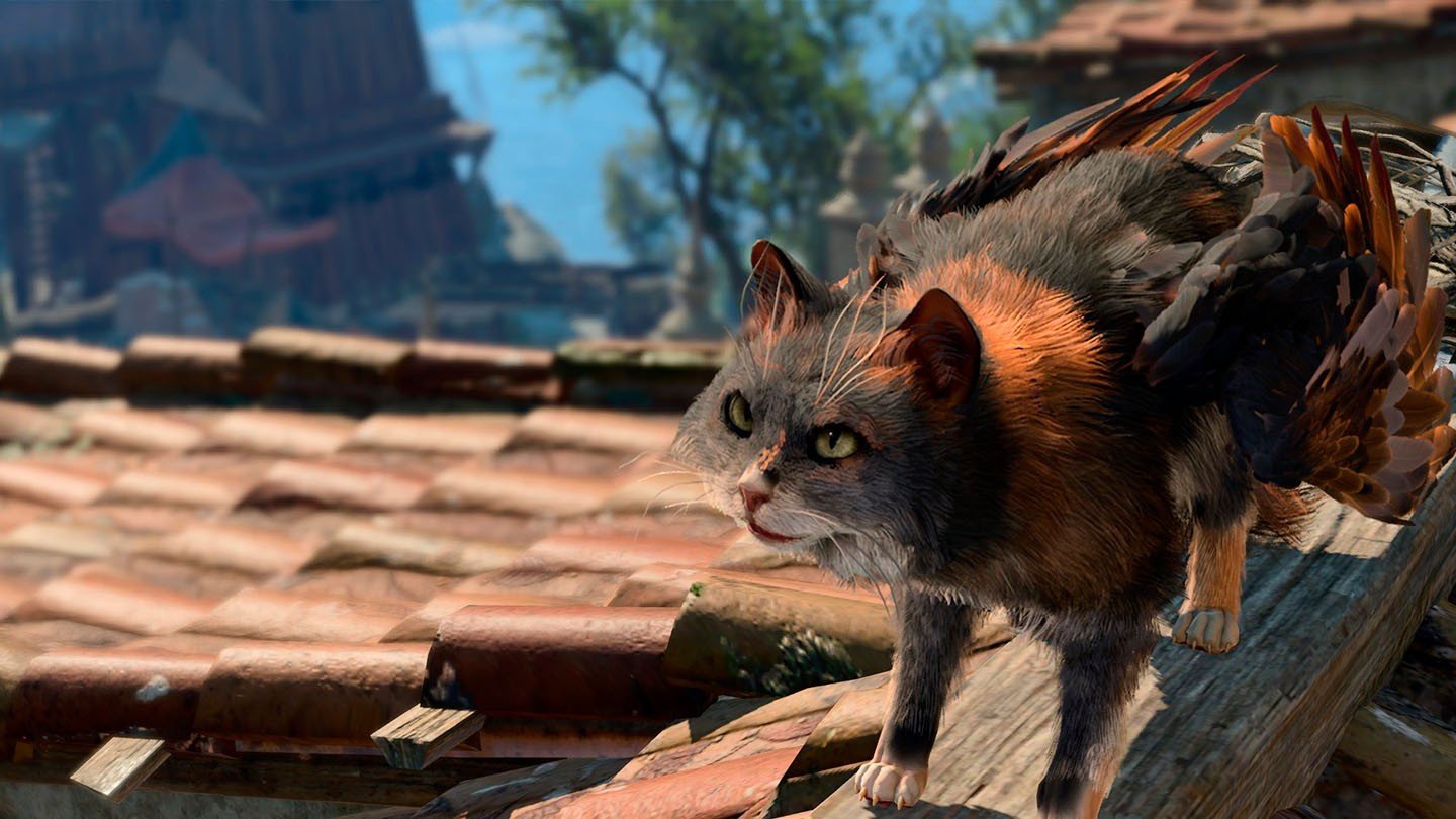 Image: Ensigame / Tara cat