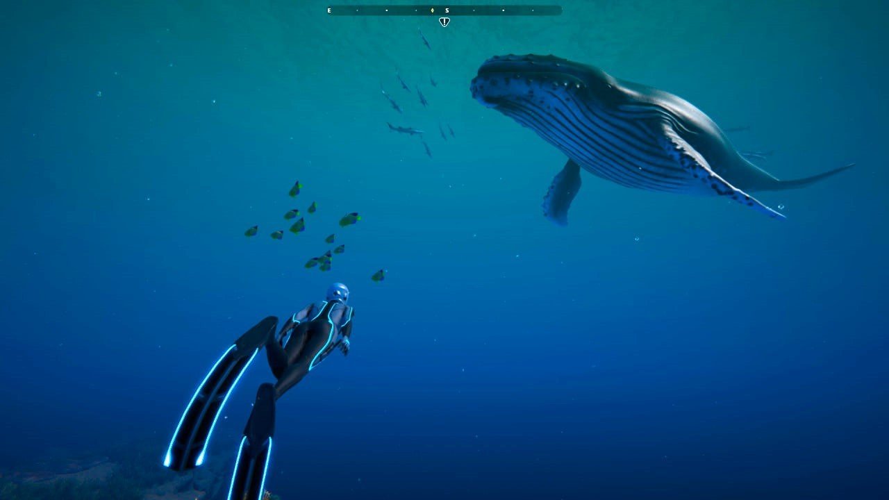 Image: store.steampowered.com