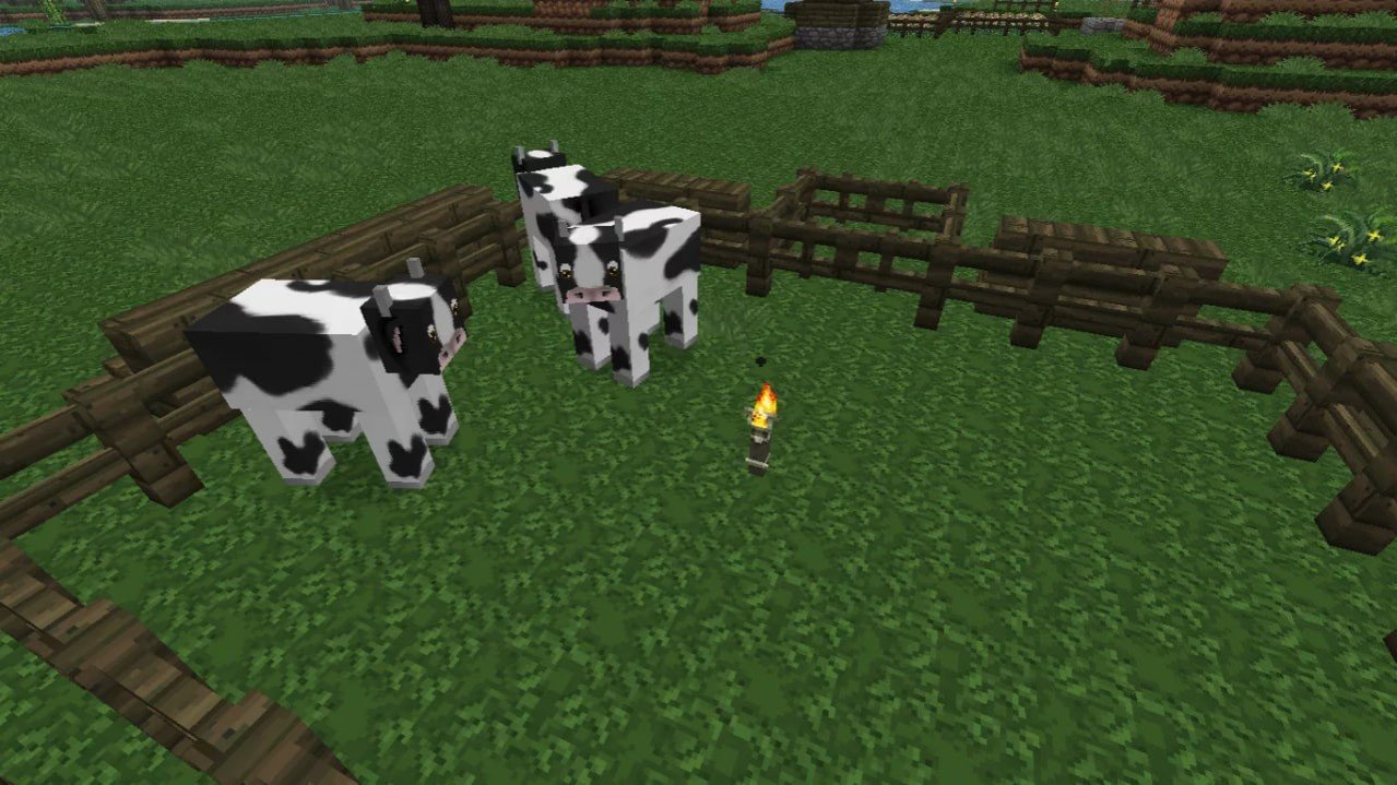 Image : minecraftforum.net