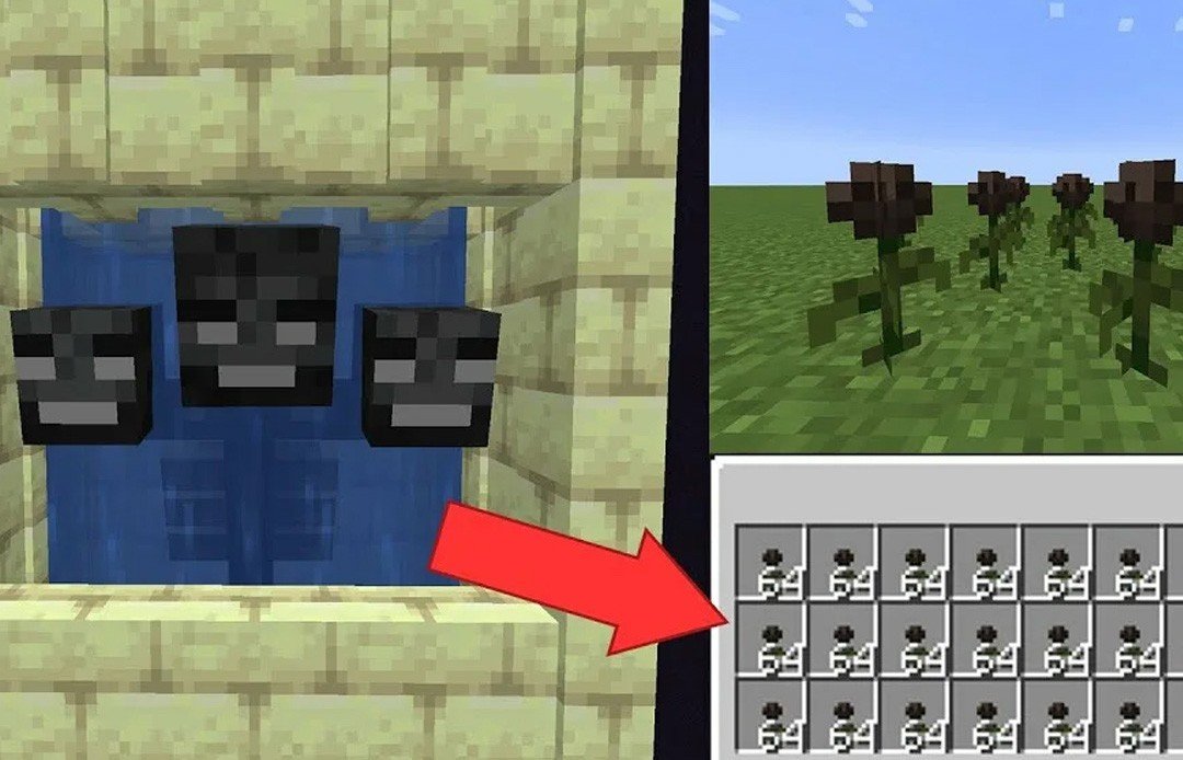 Imagem: youtube.com
