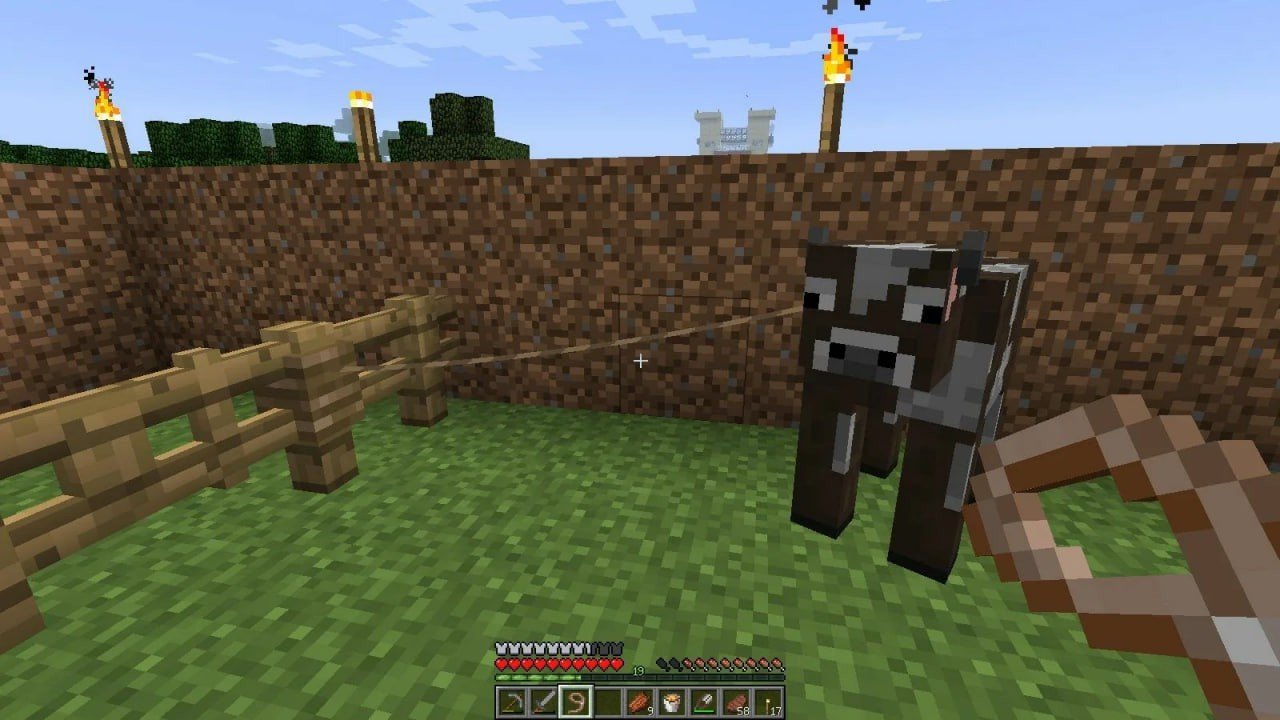 Image : youtube.com