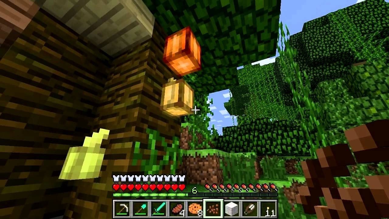 Image: youtube.com