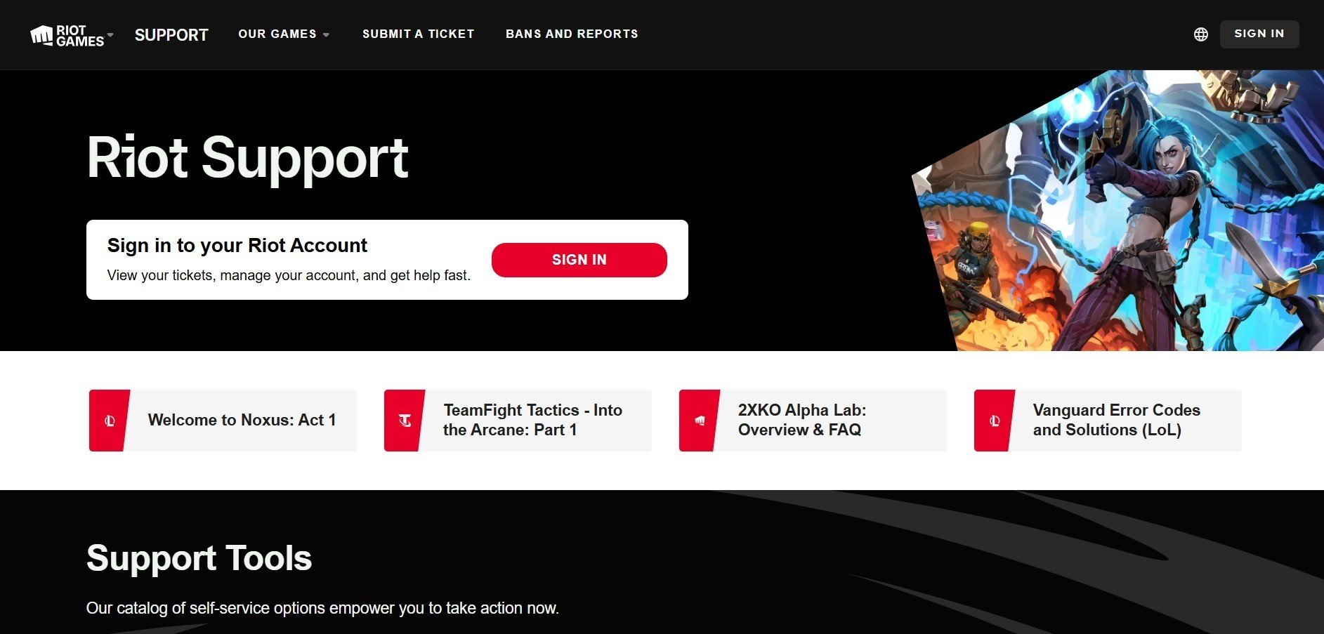 Image : support.riotgames.com