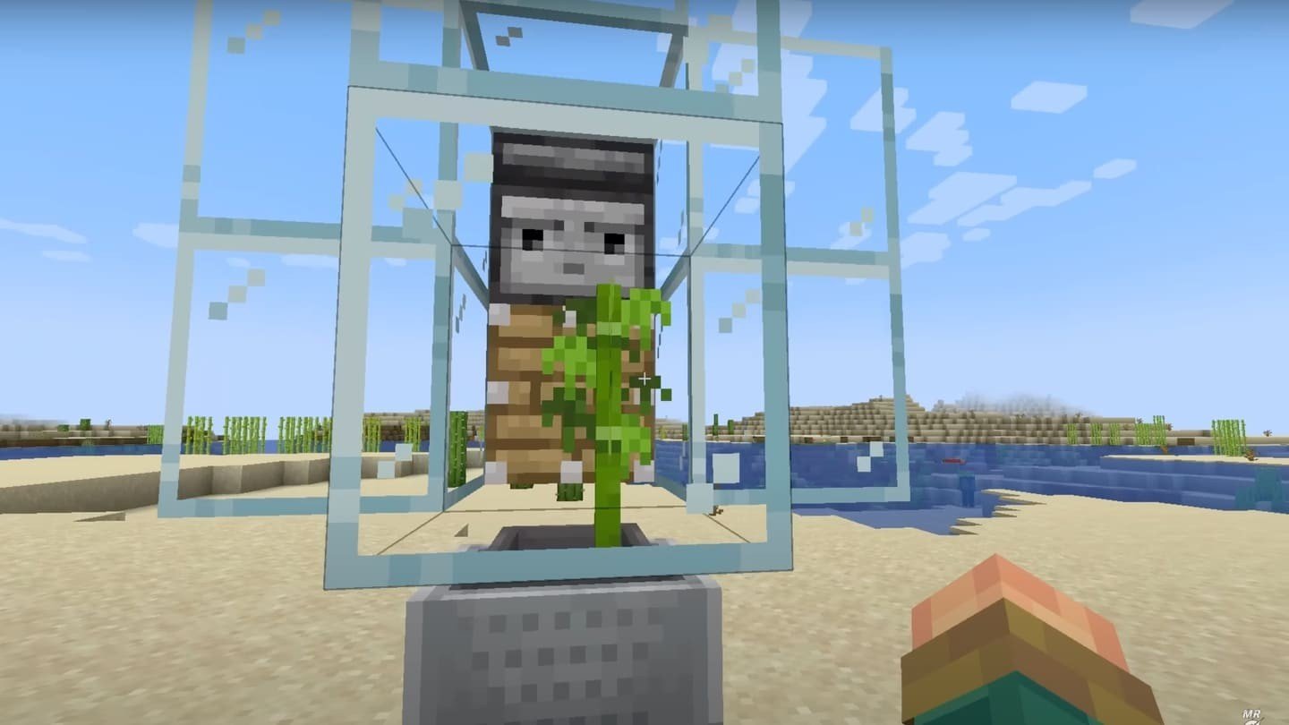 Image : youtube.com