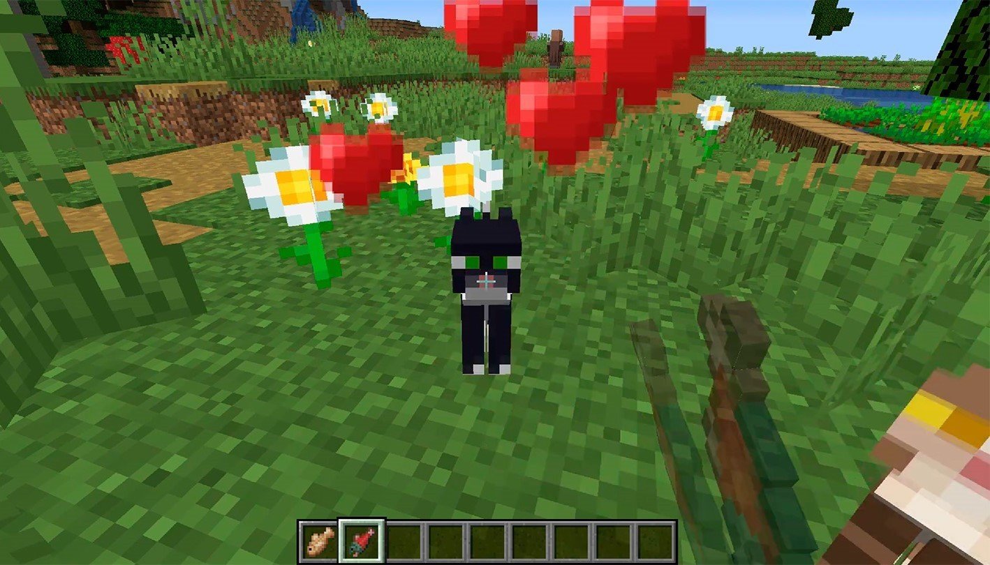 Image : youtube.com