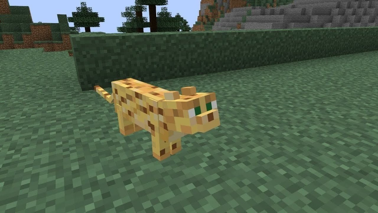 Imagem: youtube.com