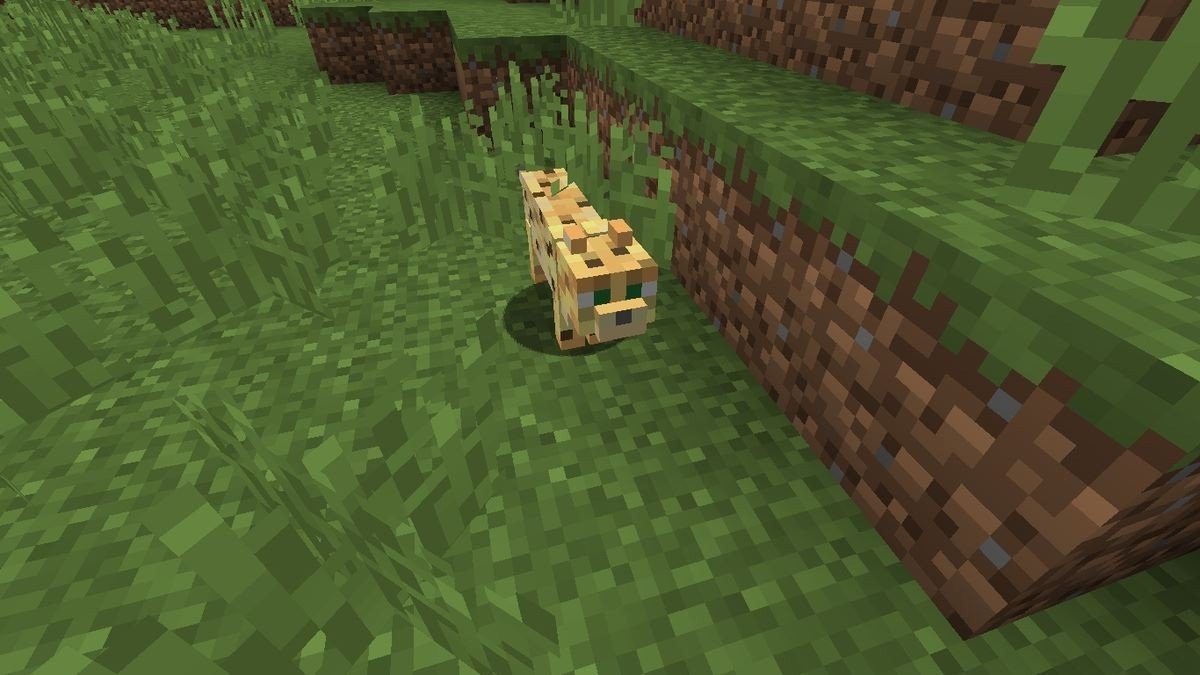Imagem: planet-mcpe.com