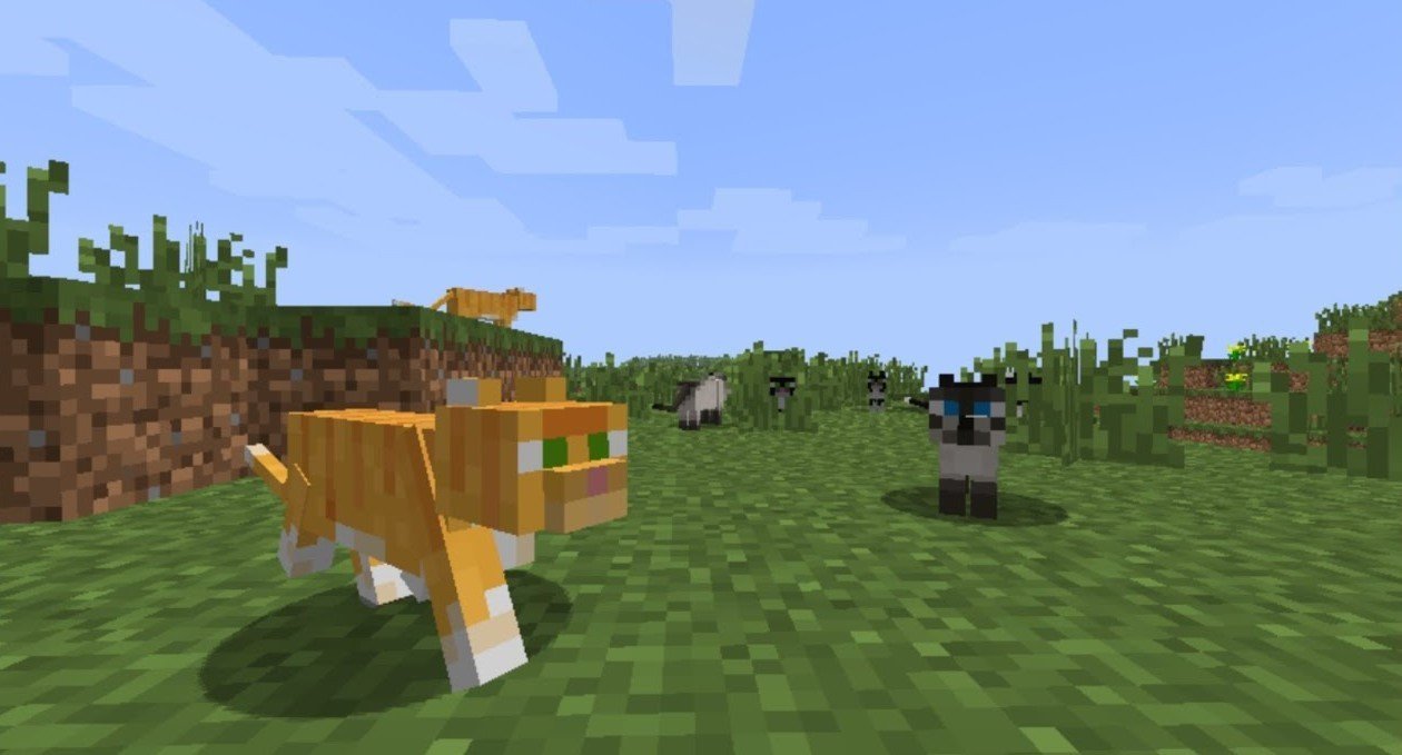 Imagem: youtube.com