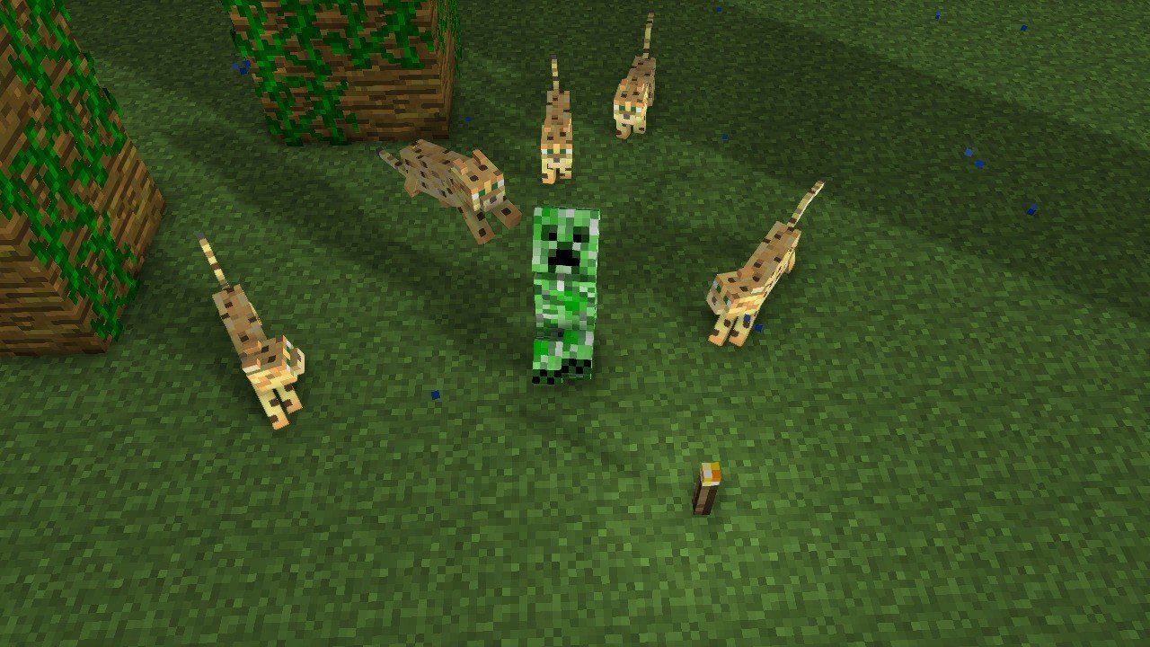 Imagem: mineimatorforums.com