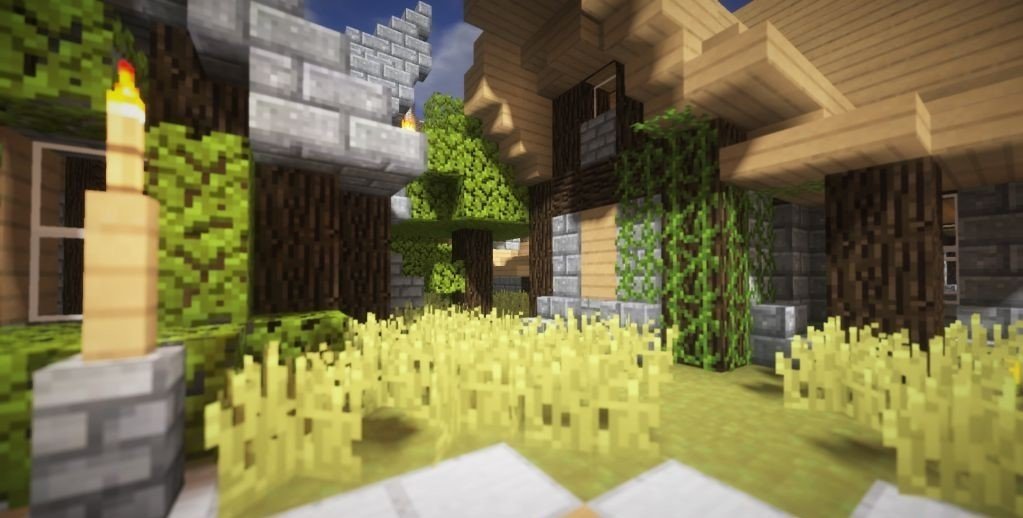 Image : optifine.net