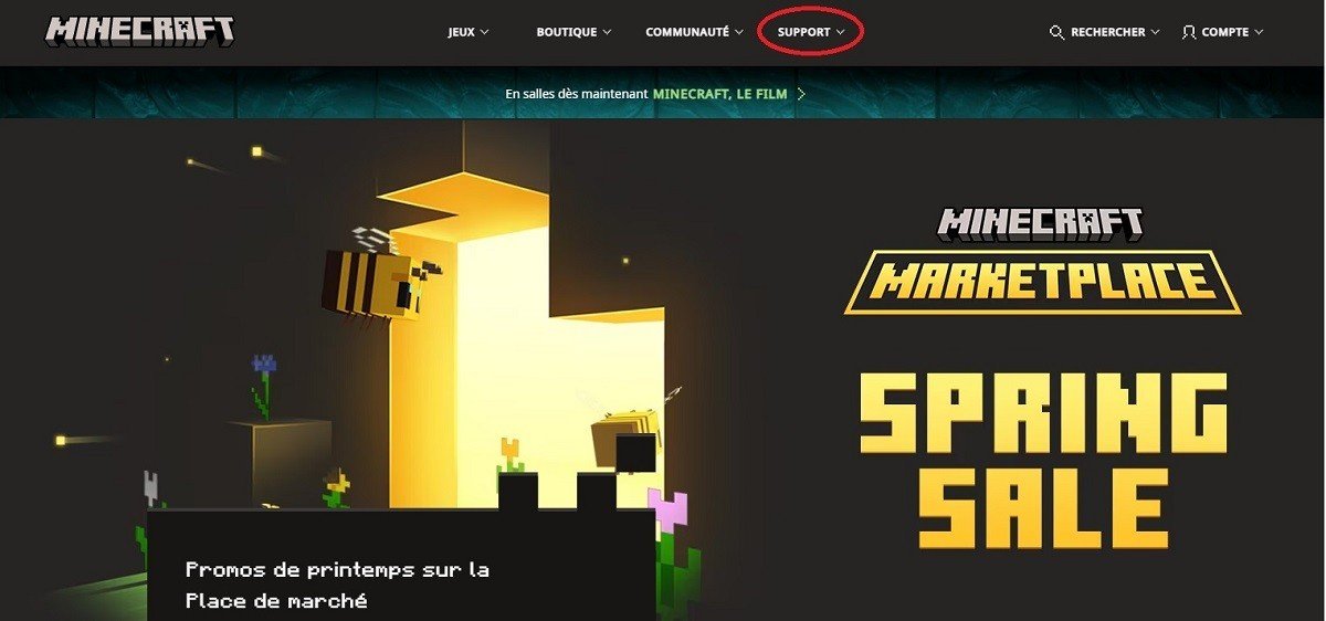 Image : ensigame.com
