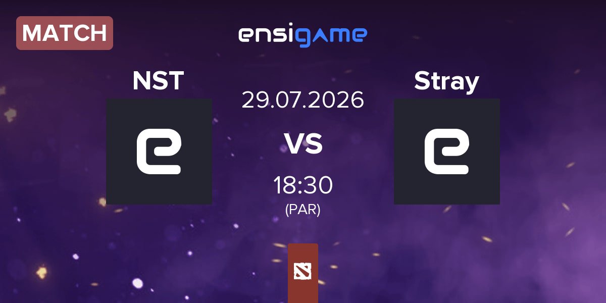 Match NS Team NST vs Stray Team Stray | 29.07