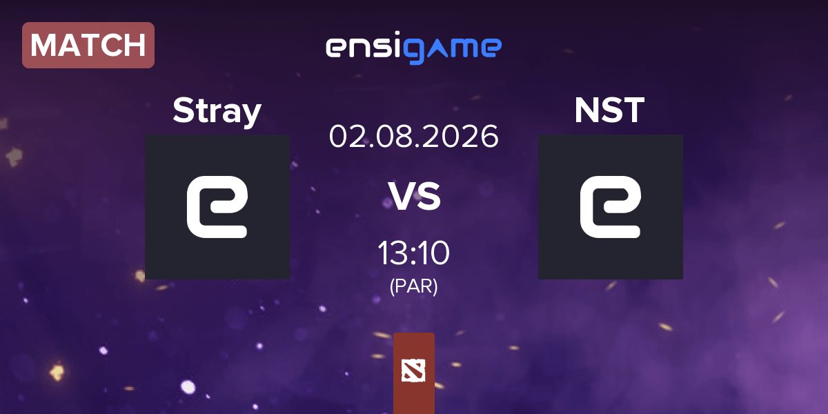 Match Stray Team Stray vs NS Team NST | 02.08