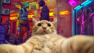 The cyberpunk cat adventure Stray will get an animated version