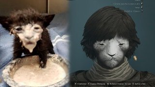 Crie seu herói de Dragons Dogma 2 antecipadamente e de graça