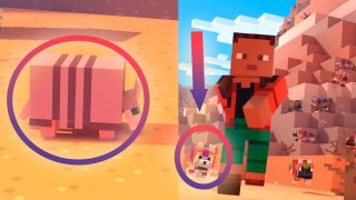 Shy armadillos and diverse wolves in Minecraft