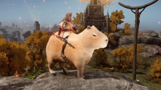 Capybaras now rideable in Elden Ring