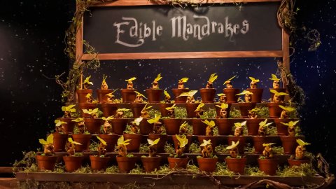 Harry Potter cooking show announced