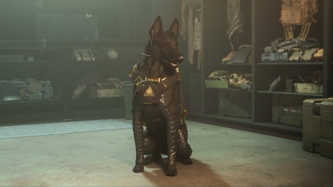 Os jogadores do Warzone 20 estão furiosos agora você pode comprar um cachorro para obter vantagem