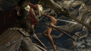 The Most Insane Soulsborne Challenges From Blind Runs to Banana Controllers