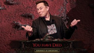 Elon Musk Gets Trolled During Path of Exile 2 Stream on Private Jet
