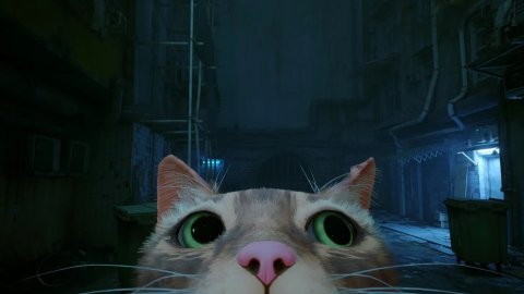 Stray foi lançado no Xbox
