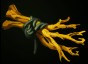 dota Iron Branch icon