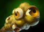 dota Observer Ward icon