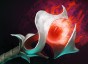 dota Orchid Malevolence icon