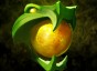 dota Orb of Venom icon